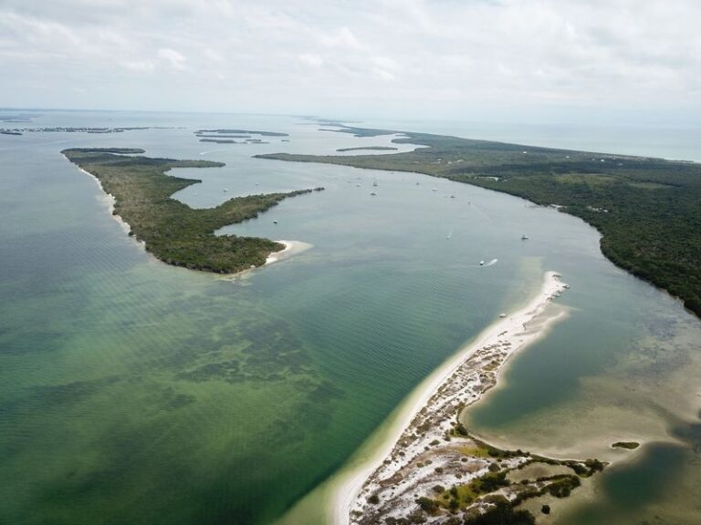 Wander This Quiet Florida Barrier Island Where The Beach Stays Empty And Shells Pile Up