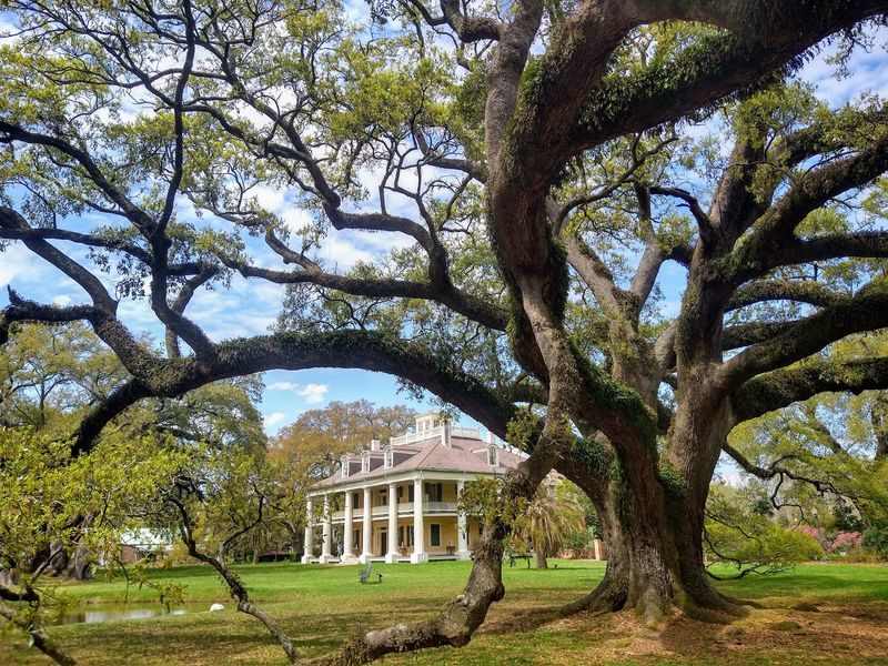 These 7 Historic Homes Welcome You Overnight With Trees And Dining