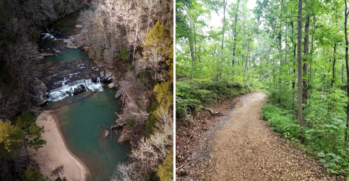 A Short Downhill Hike in South Carolina Ends at a Wide Waterfall With a Sandy Swimming Beach