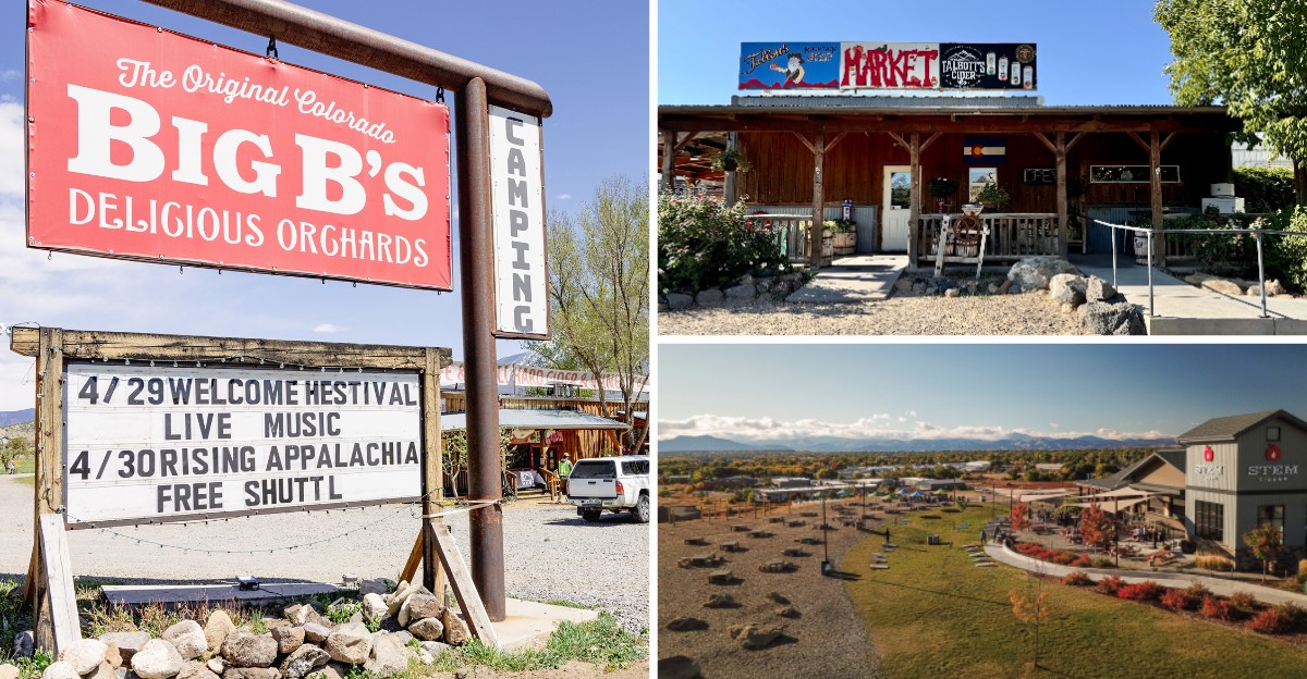 Six Colorado Cider Houses Where You Can Sip Fresh-Pressed Apple Cider Right By The Orchard