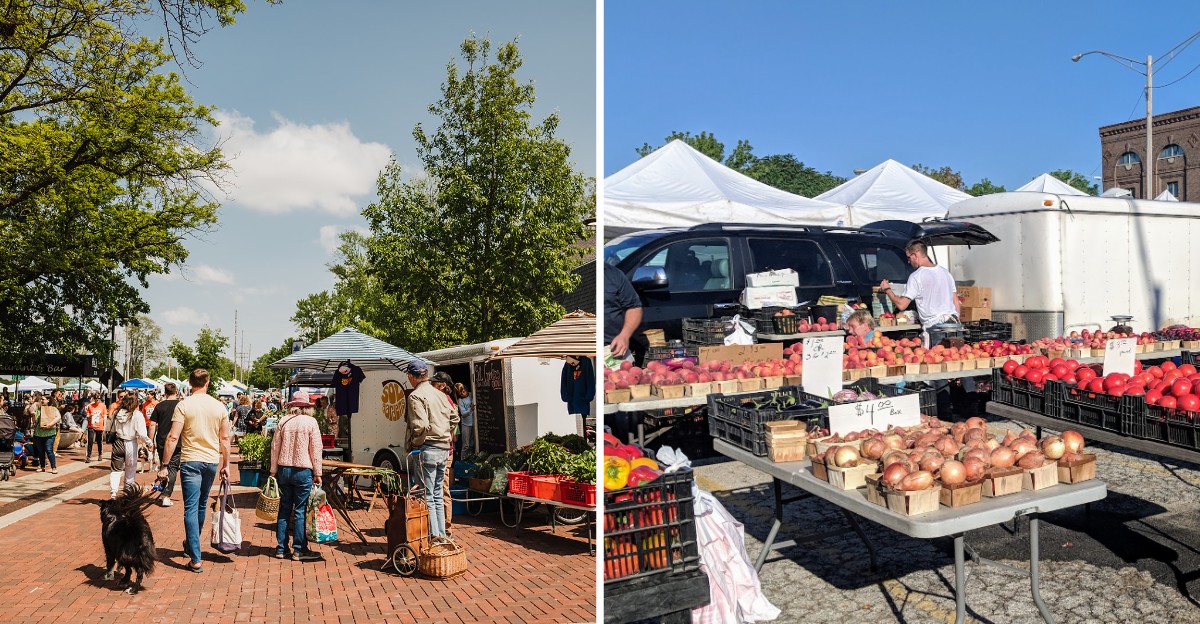 Every Weekend, Illinois Locals Head To These 8 Farmers Markets For Just-Picked Produce And Warm Baked Bread