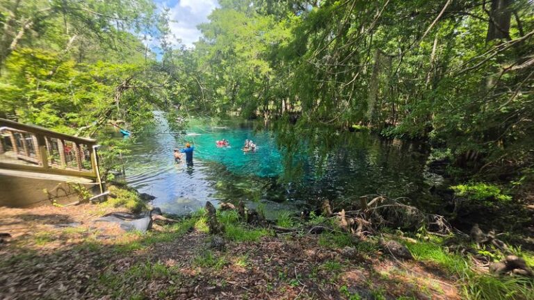 Paddle These 6 Florida Spots Where Manatees Gather In The Cool Months Ahead
