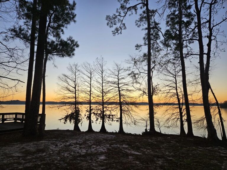 This Peaceful Louisiana State Park Lets You Camp Right On A Quiet White-Sand Beach