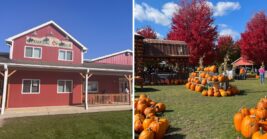 This Family-Run Illinois Orchard Draws Weekend Crowds For Apple Cider, Pumpkin Patches, And Wagon Rides