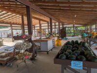 This Charming Iowa Farm Market Is Worth The Drive For Sweet Corn, Peaches, And Homemade Salsa
