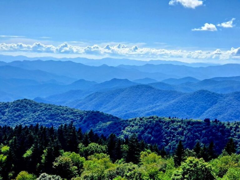 These 7 North Carolina Mountain Overlooks Deliver Jaw-Dropping Views Right From The Parking Lot