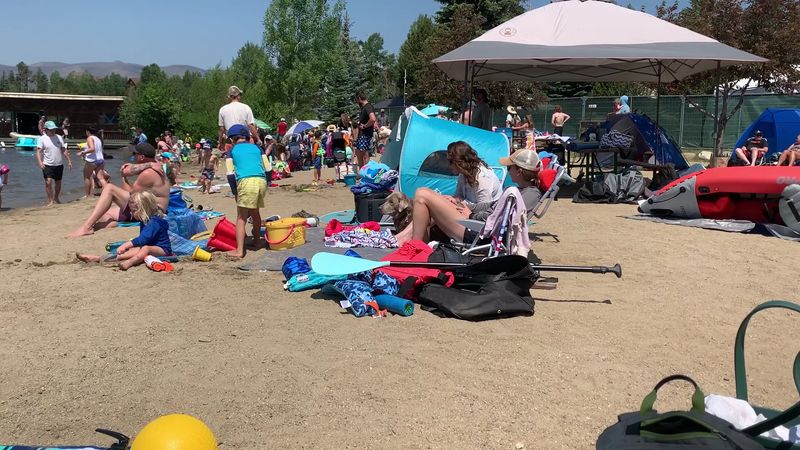 A Beach That Welcomes Dogs
