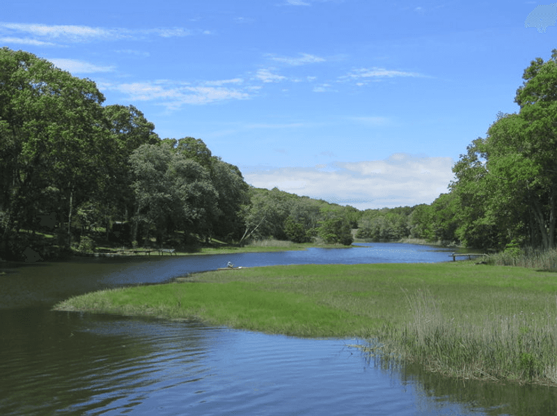 A Calm Verdict for Coastal Retirement