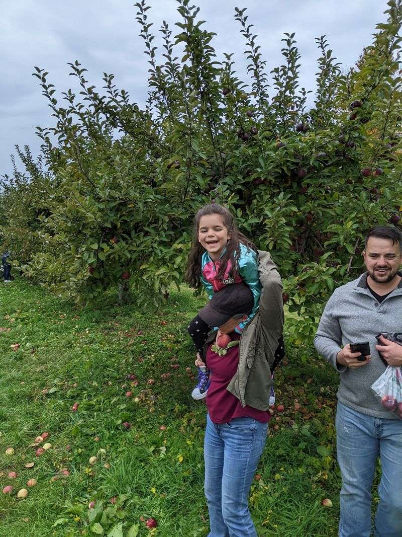 A Calmer Kind of Orchard Day