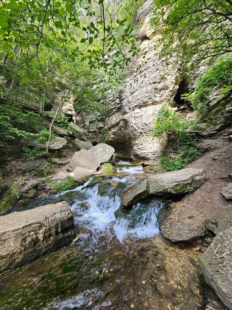 A Cold Spring That Runs All Year