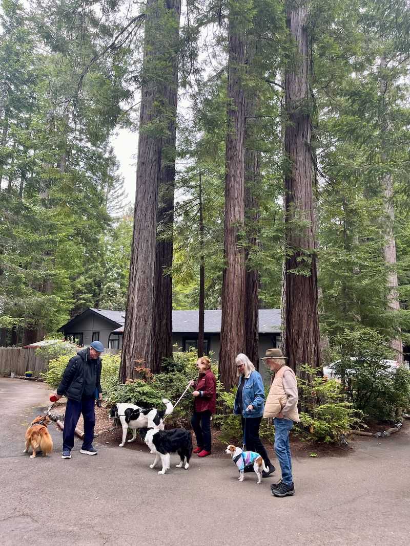 A Cooperative Hidden in Little River