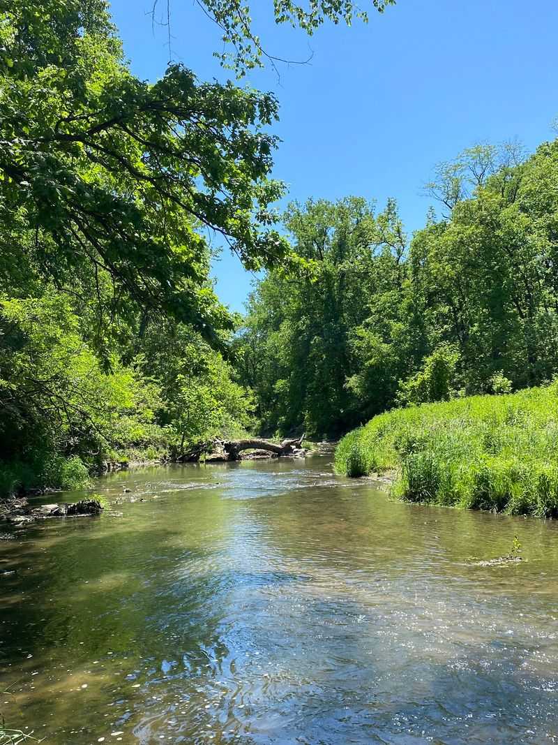 A Creek Built for Cooling Off