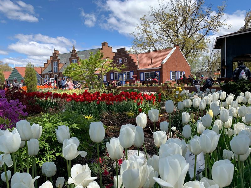 A Dutch Village on a Michigan Island