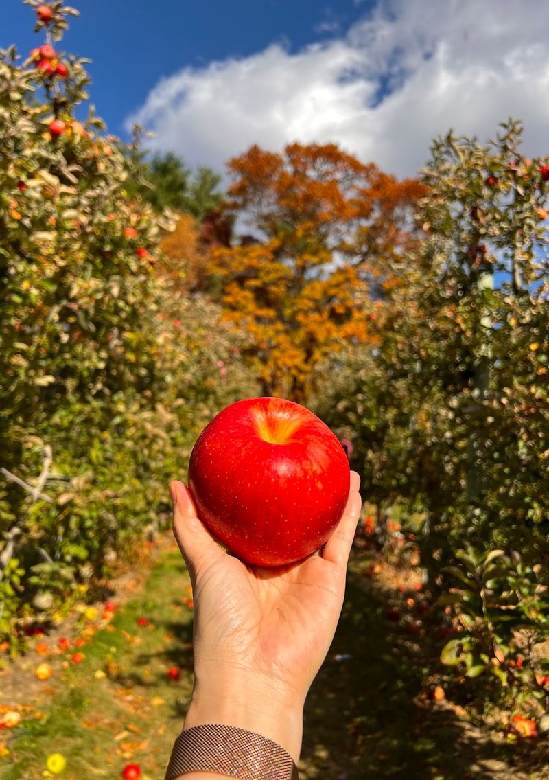 A Fall Day Worth Repeating A Fall Day Worth Repeating