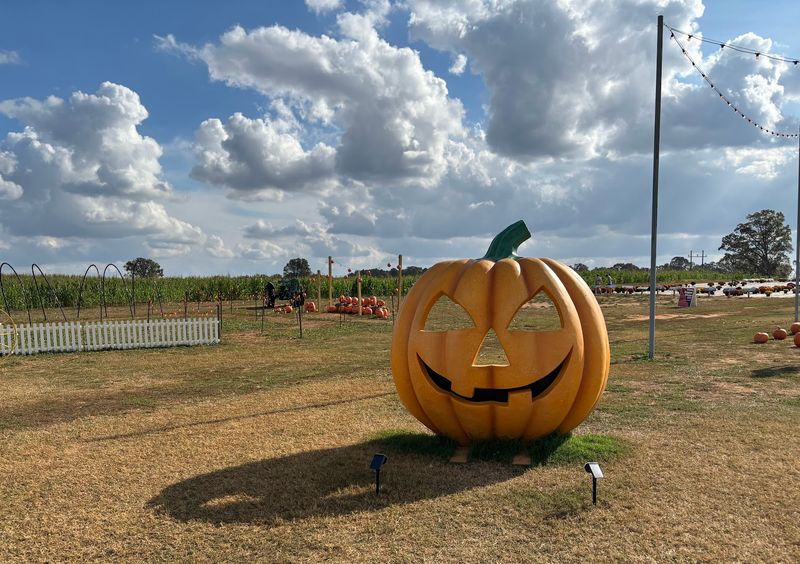 A Fall Tradition Worth Starting A Fall Tradition Worth Starting