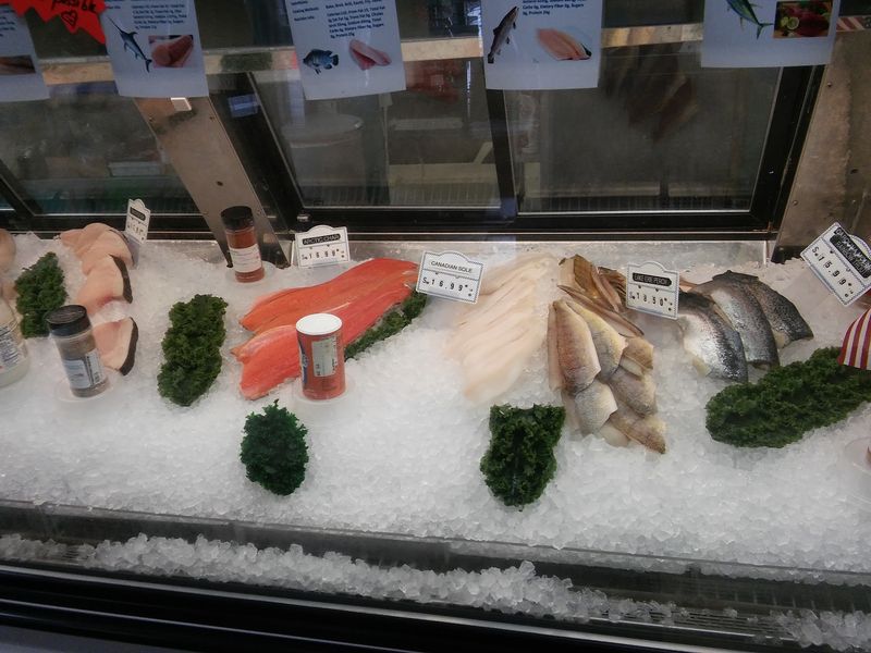 A Fish Counter on Cleveland Road