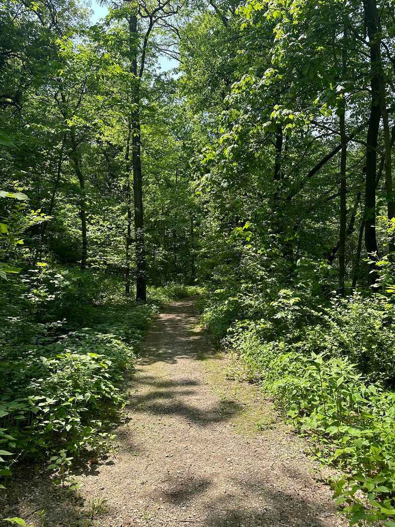 A Forest Pocket On The North Edge Of Des Moines A Forest Pocket On The North Edge Of Des Moines