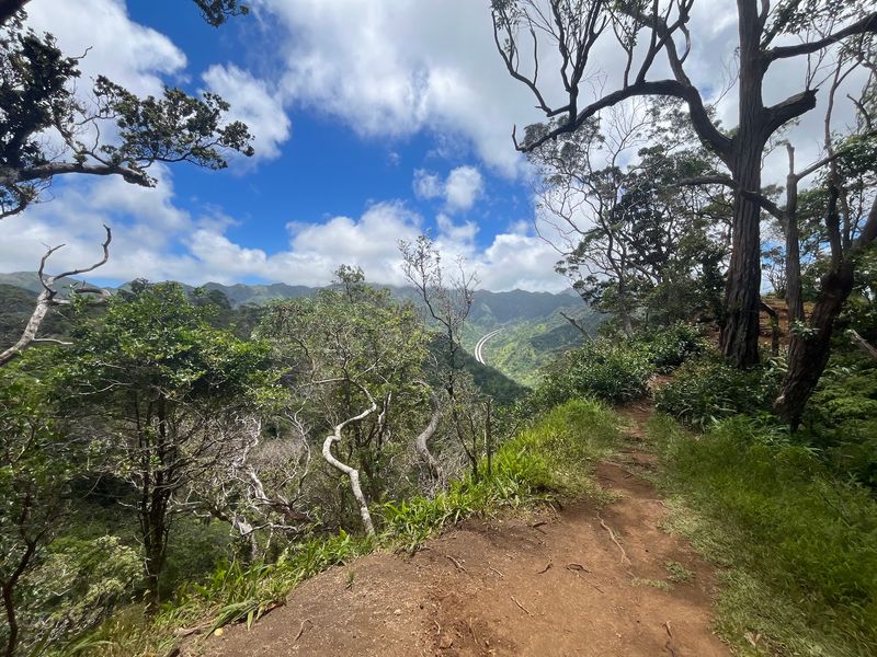 A Forested Escape Above Pearl Harbor