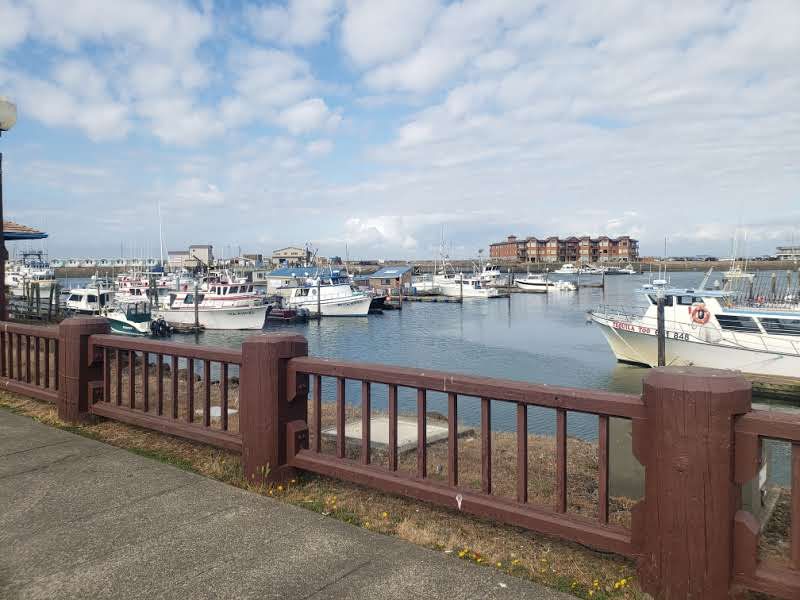 A Harbor Stop Worth the Detour A Harbor Stop Worth the Detour