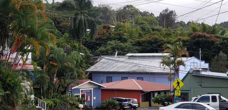 A Hillside Town Above The Kona Coast