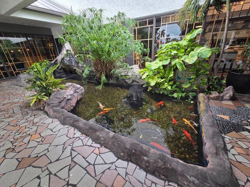 A Koi Pond and a Stylish Setting