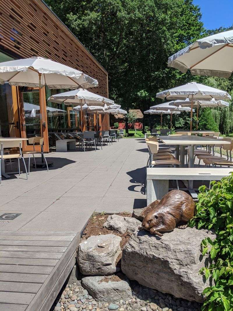 A Patio Built for Dogs and Sunshine