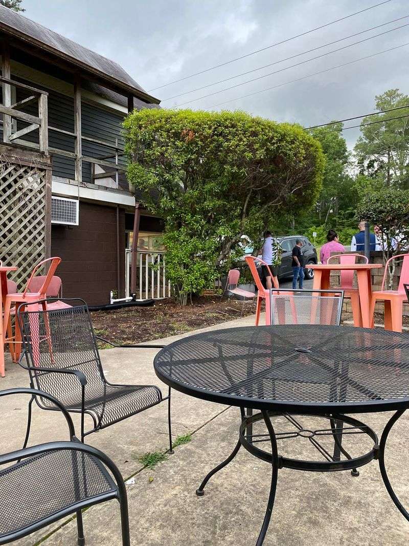 A Patio With Loyal Fans A Patio With Loyal Fans