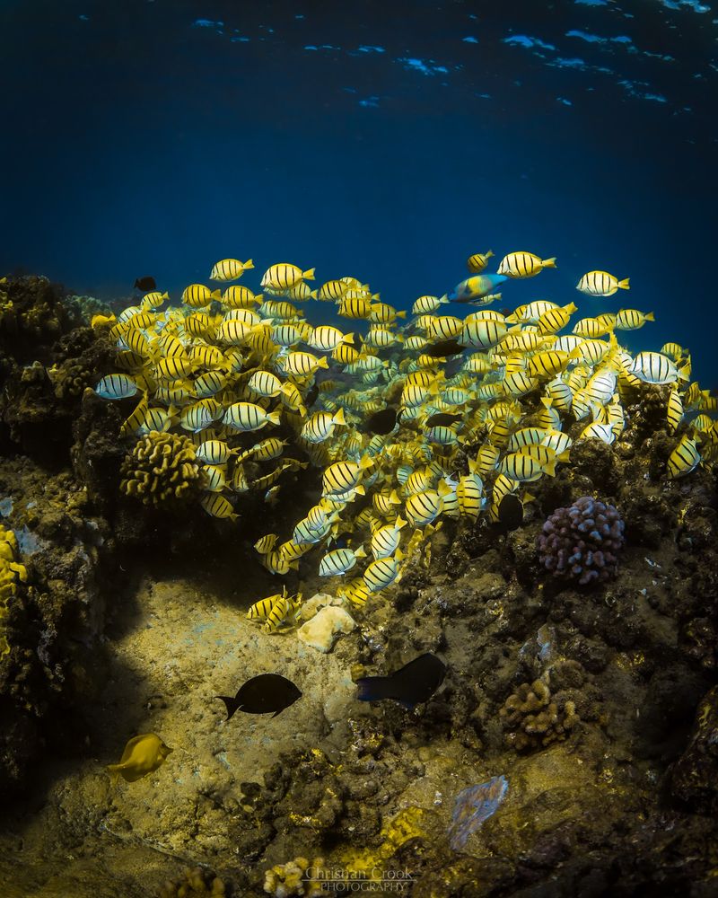 A Protected Marine Preserve Worth Respecting