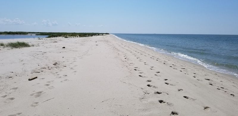 A Public Beach With Room to Spare A Public Beach With Room to Spare