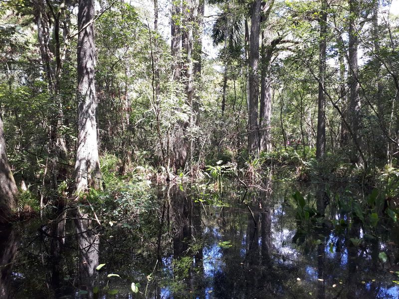 A Quiet Place Worth Protecting