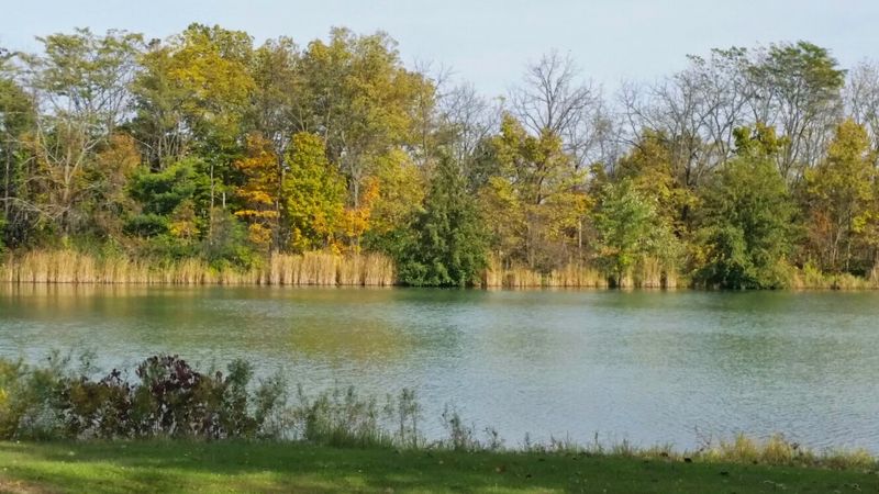 A River City In Northeast Indiana