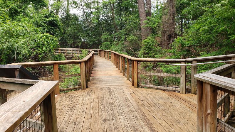 A Riverside Retreat in the Heart of Pineville A Riverside Retreat in the Heart of Pineville