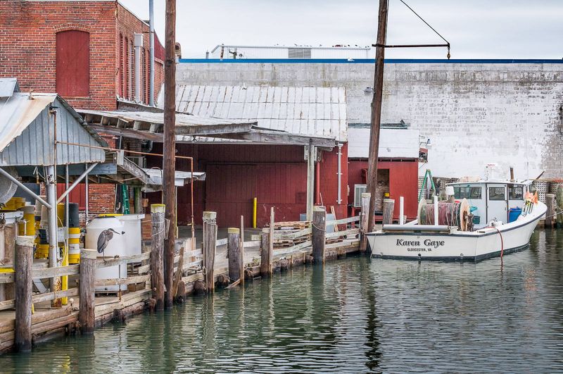 A Shrimp Run Worth Planning Around