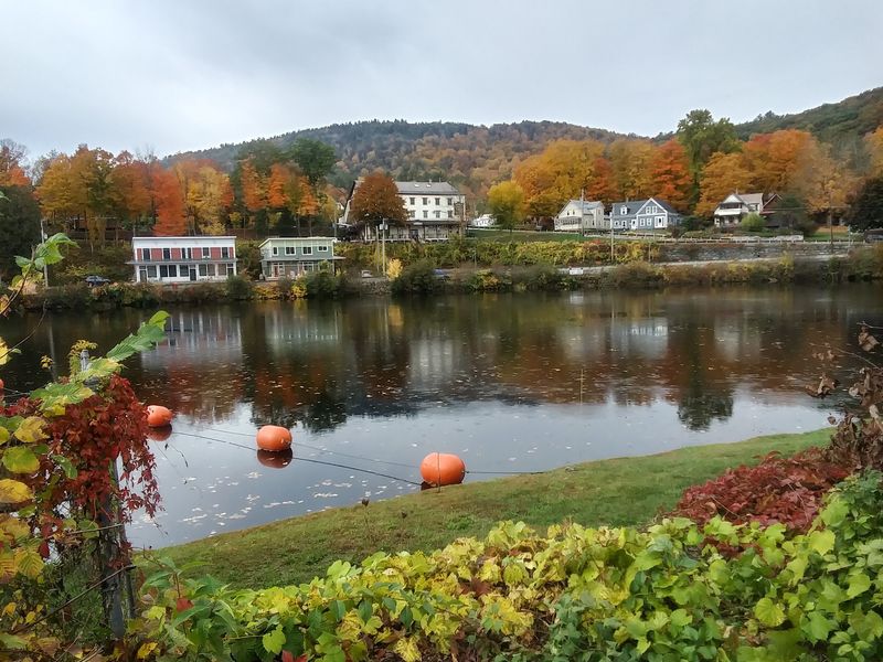 A Soft Verdict on Village Living