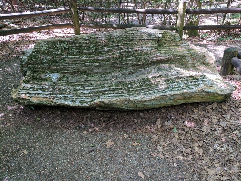 A Stone Forest Off Forest Park Road A Stone Forest Off Forest Park Road