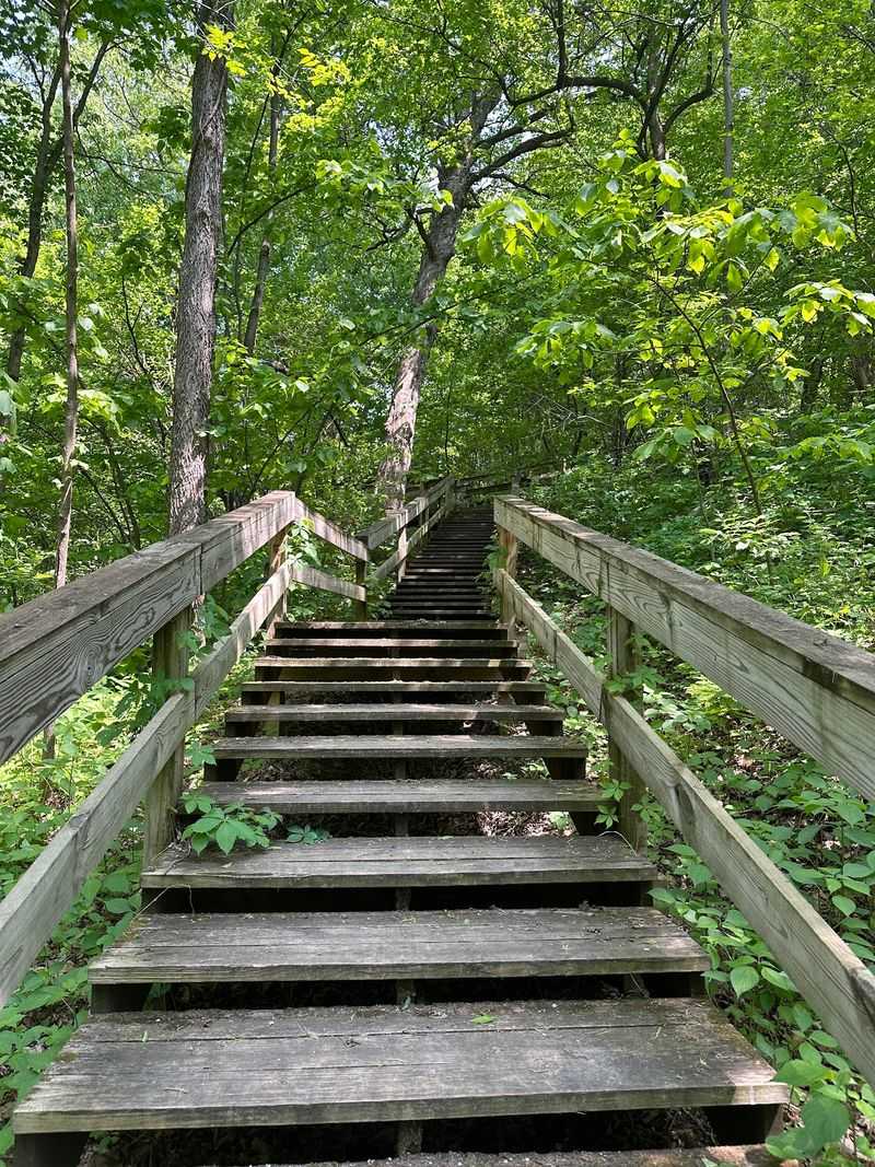 A Wooden Staircase Set Into The Woods A Wooden Staircase Set Into The Woods