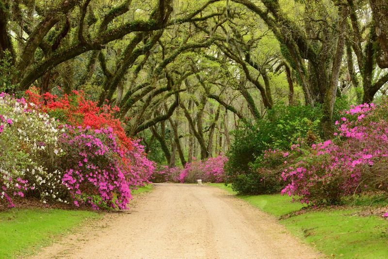 Afton Villa Gardens, St. Francisville, Louisiana