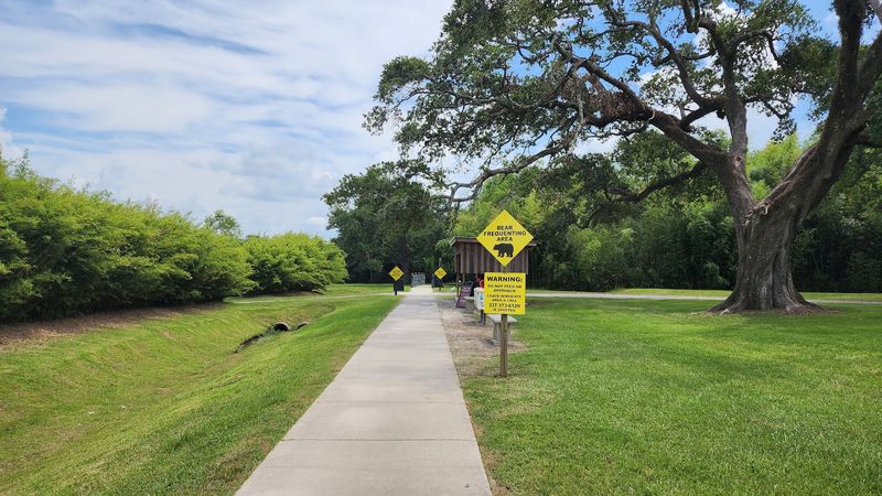 Alligators, Ponds, And Wild Neighbors