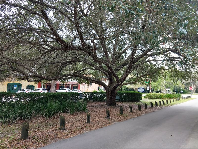 An Easy Pairing With Gainesville
