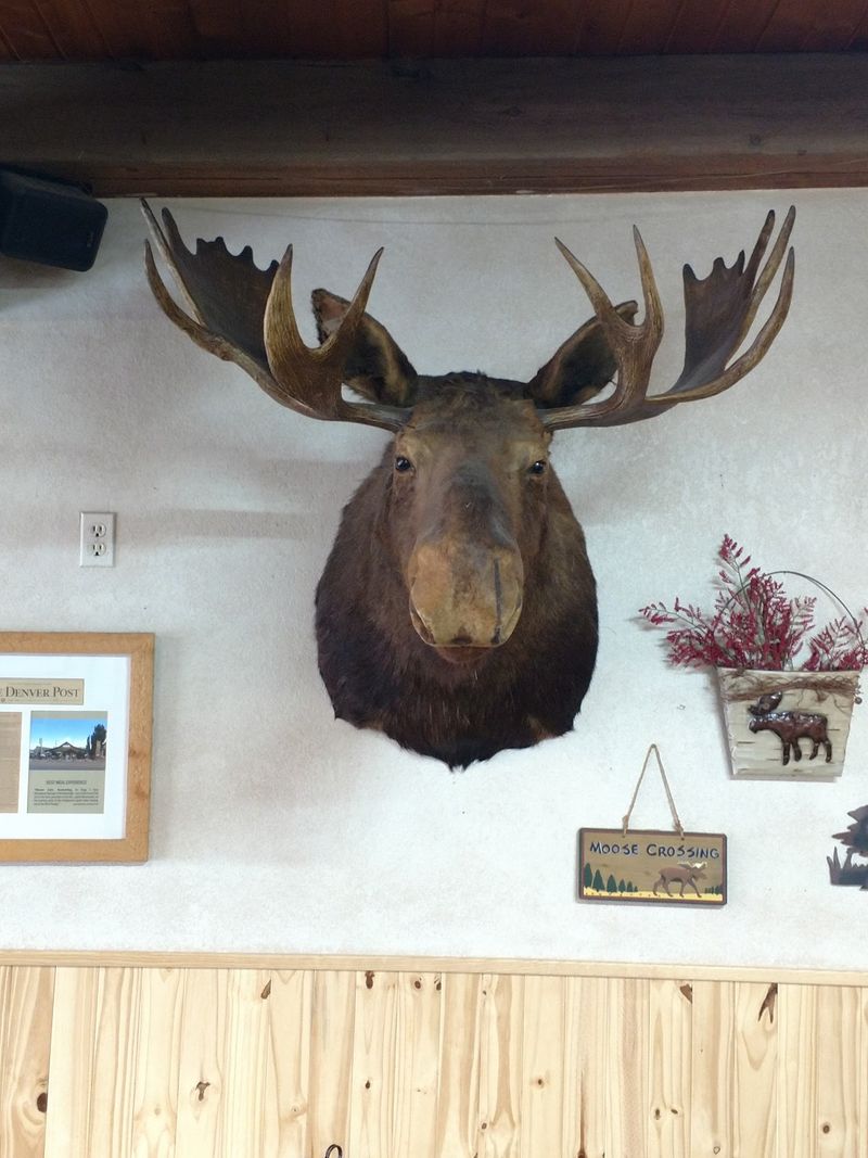 Antlers on the Walls, Tie-Dye on the Staff Antlers on the Walls, Tie-Dye on the Staff