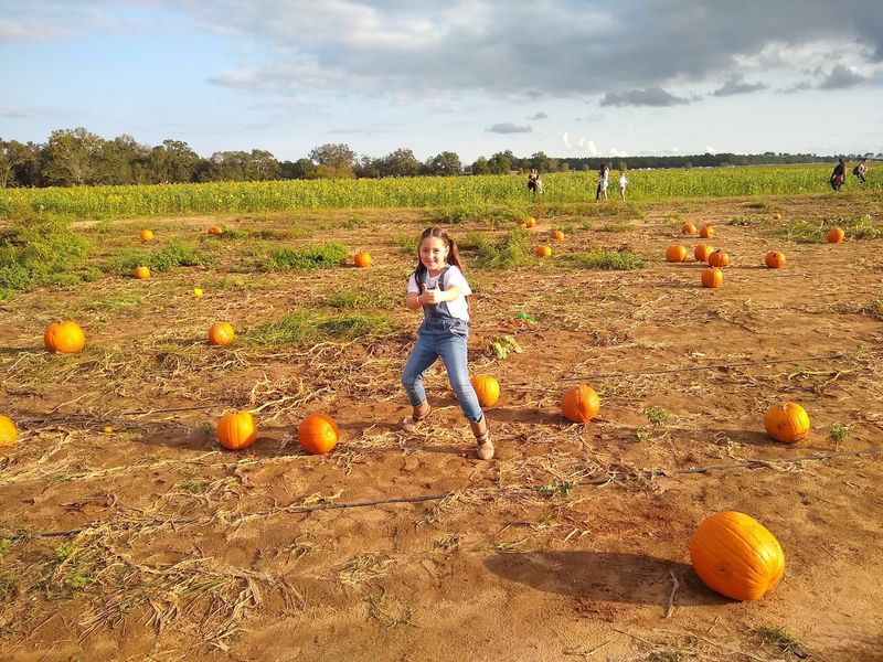 Aplin Farms, Dothan, AL
