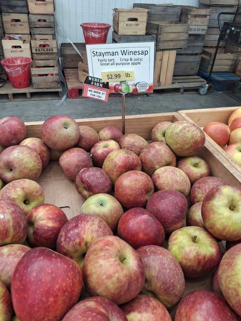 Apples With Names on Them Apples With Names on Them