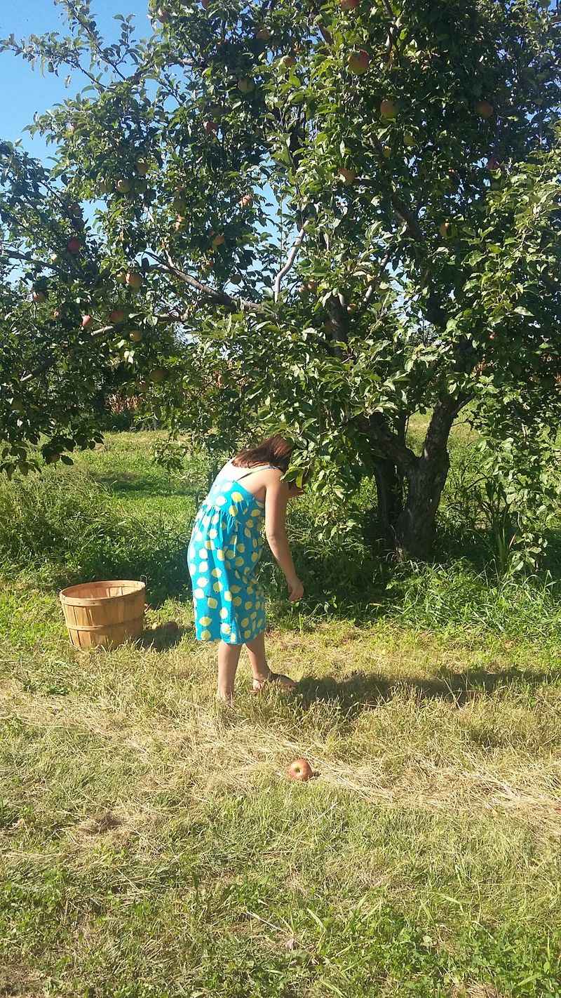 Apples on the Avenue, Nashua, IA
