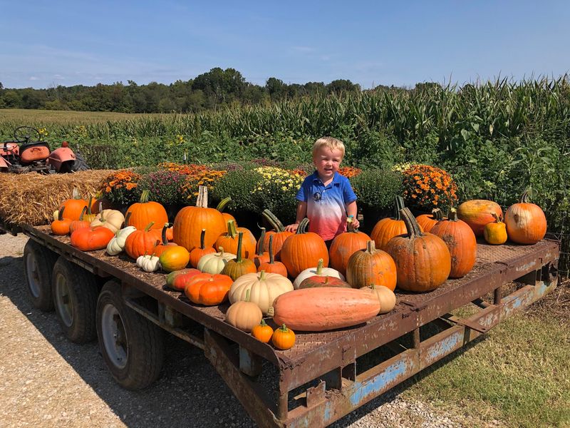 Armstrong Artisan Farm, Walnut Cove, NC