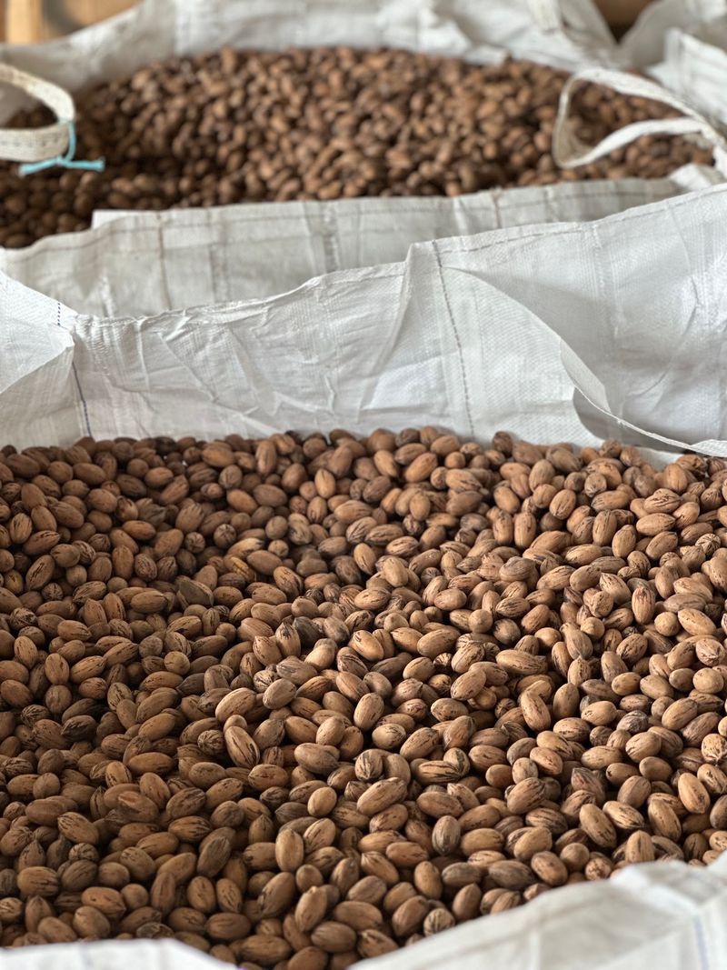 Atkinson Pecans Co., LLC, Wharton, TX Atkinson Pecans Co., LLC, Wharton, TX