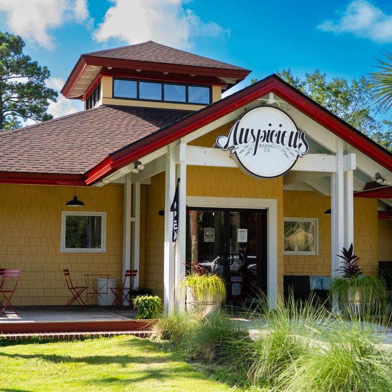 Auspicious Sandfly, Savannah, GA Auspicious Sandfly, Savannah, GA