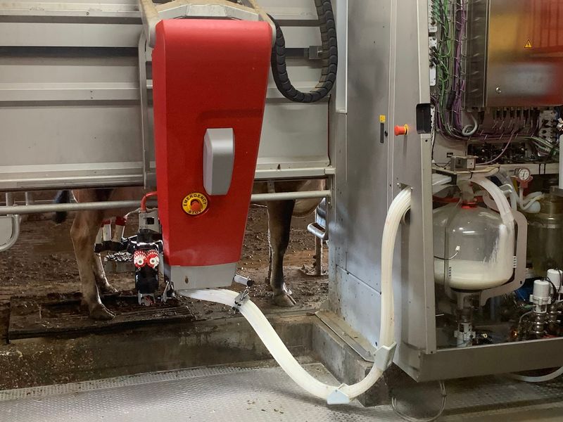 Barn Tours and the Science of Milking Barn Tours and the Science of Milking