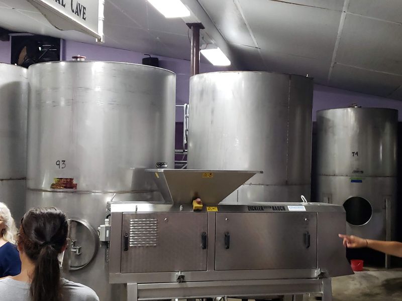 Behind the Scenes in the Cellar