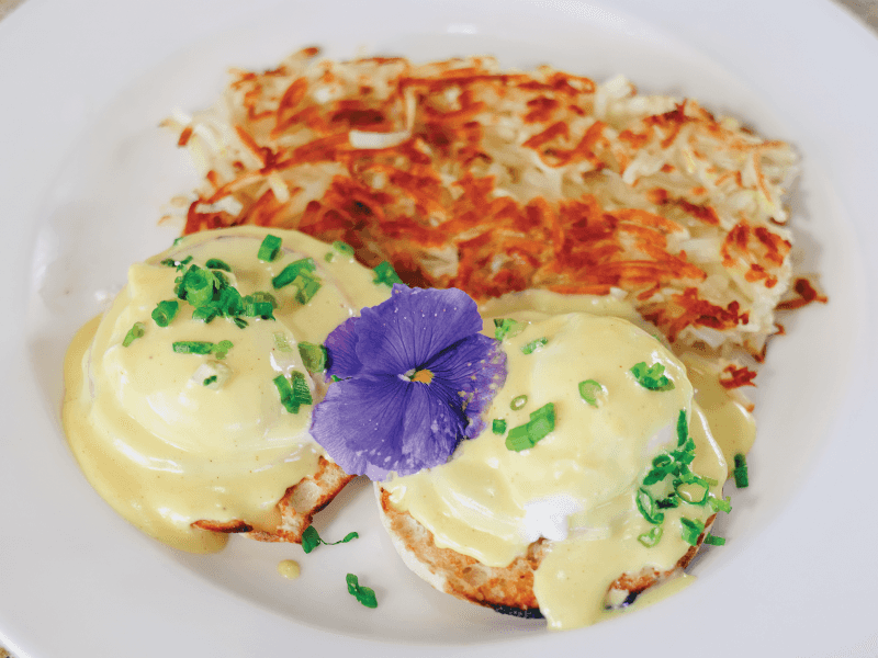Benedicts, Biscuits, and Comfort Classics