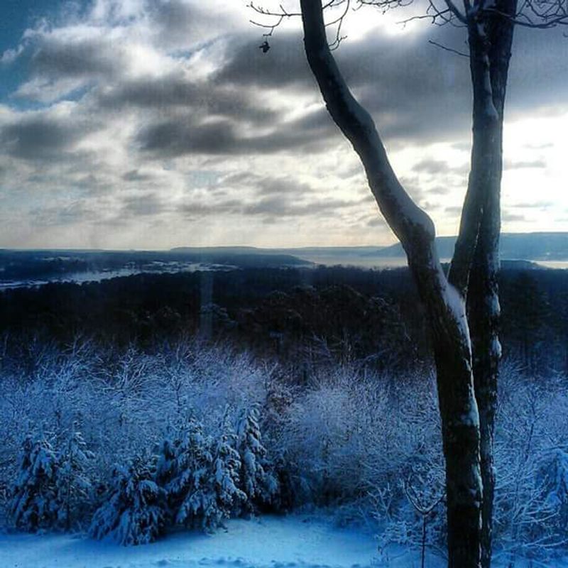 Best Seasons for a Scouting Trip